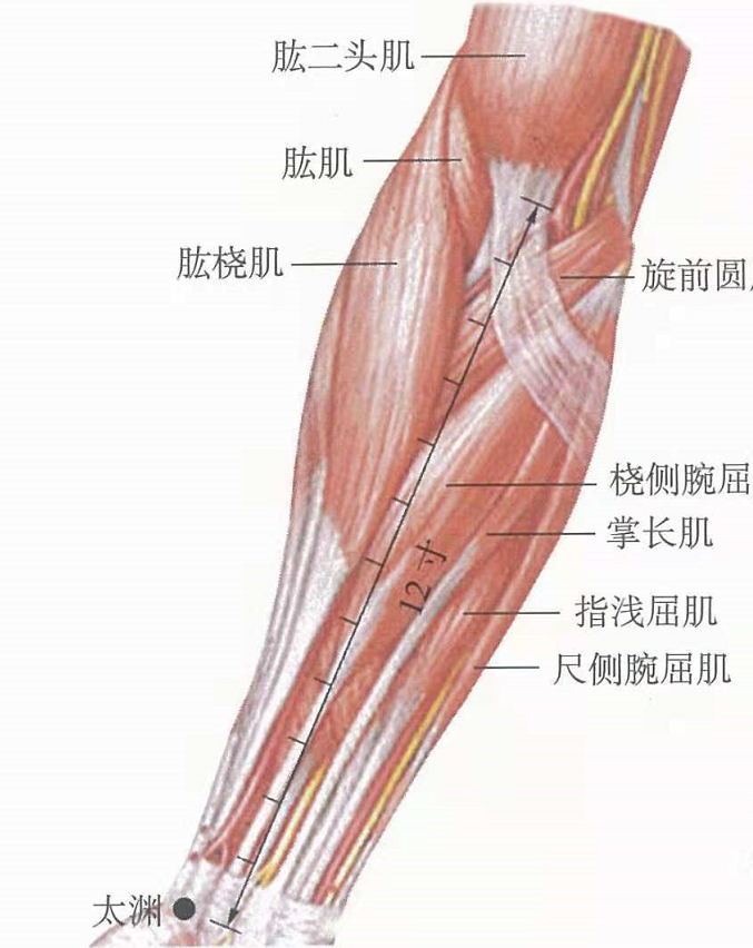 微信图片_20241030224858.png