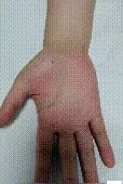 大林.gif