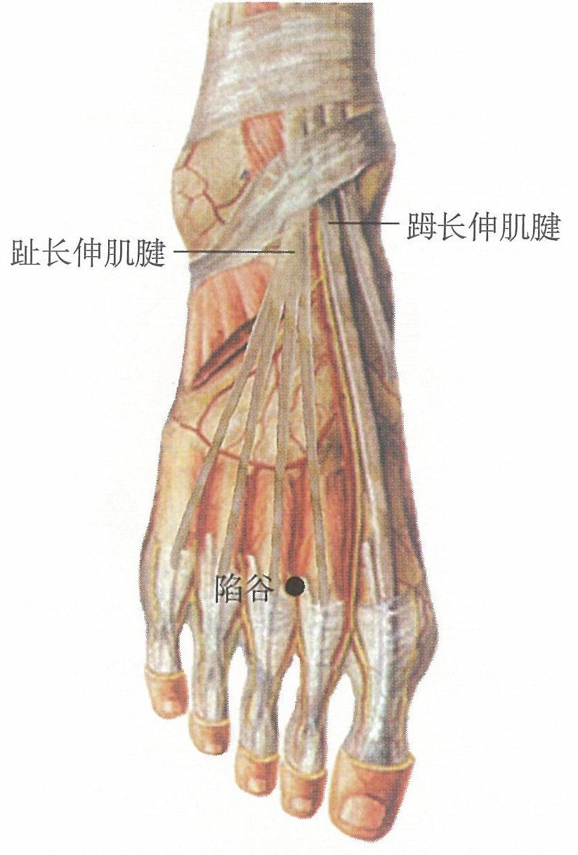 仙姑.png