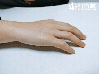种猪.gif